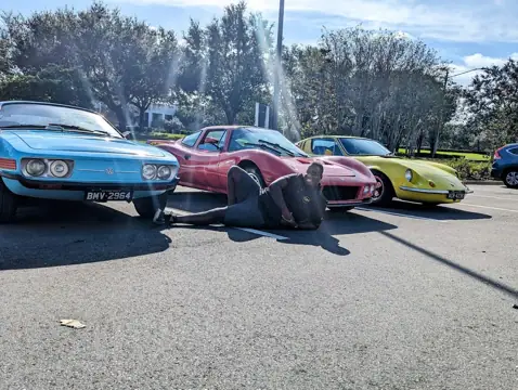 Apex Detailing in Orlando, FL