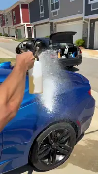 Detail Dawgs | Ceramic Coatings, Paint Correction, and Mobile Detailing photo 3