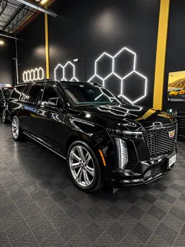 Nikola Professional Detailing in Sterling, VA