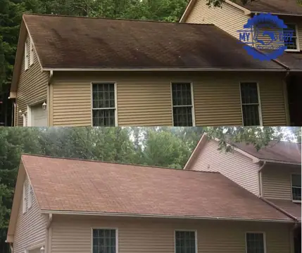 Average Joe power washing & soft wash in Flint, MI