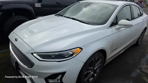 Blue Rose Auto Detailing Services in Springfield, OR