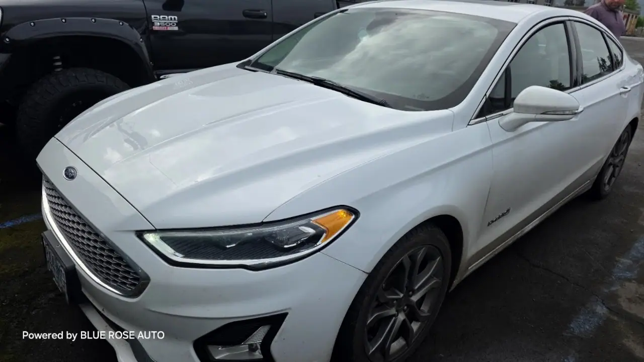 Blue Rose Auto Detailing Services, RV detailing in Springfield