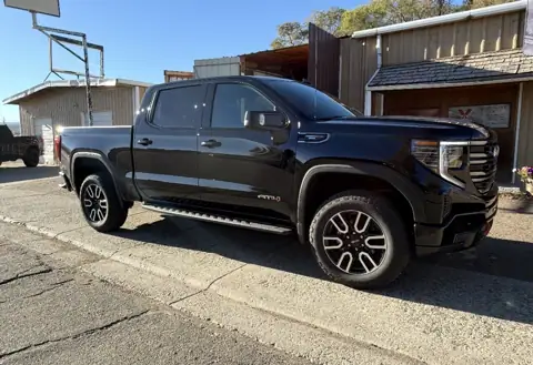 Precision Auto Styling in Elko, NV